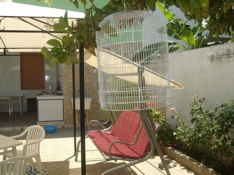 فيلا Villino Claudia 30 Mt Mare بورتو سيساريو المظهر الخارجي الصورة